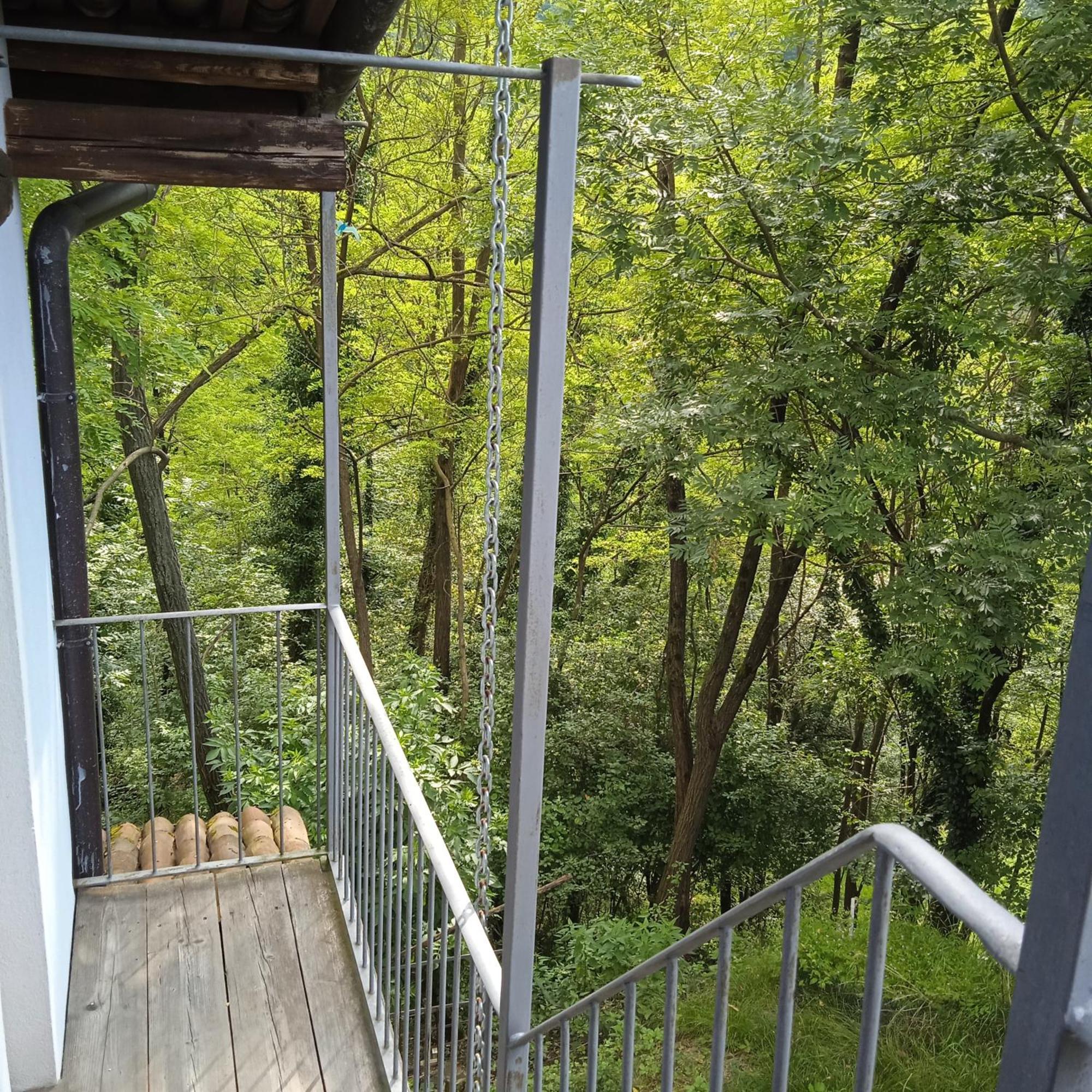 Il Canto Del Bosco Netro Exterior foto